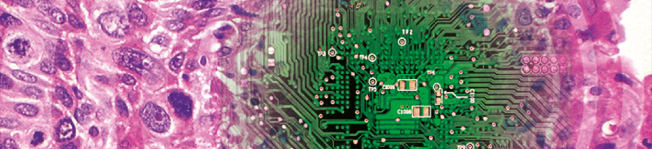 Digital pathology img